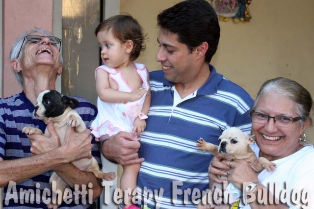 Amichetti BULLDOG TERAPIA