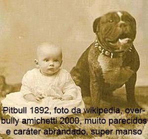 bully 1892