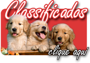 publicidade 02