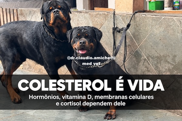 Colesterol Dietético, Ingestão de Carboidratos e Modificação da Lipoproteína de Baixa Densidade: Revisitando o Papel da Gordura Animal na Doença Cardiovascular