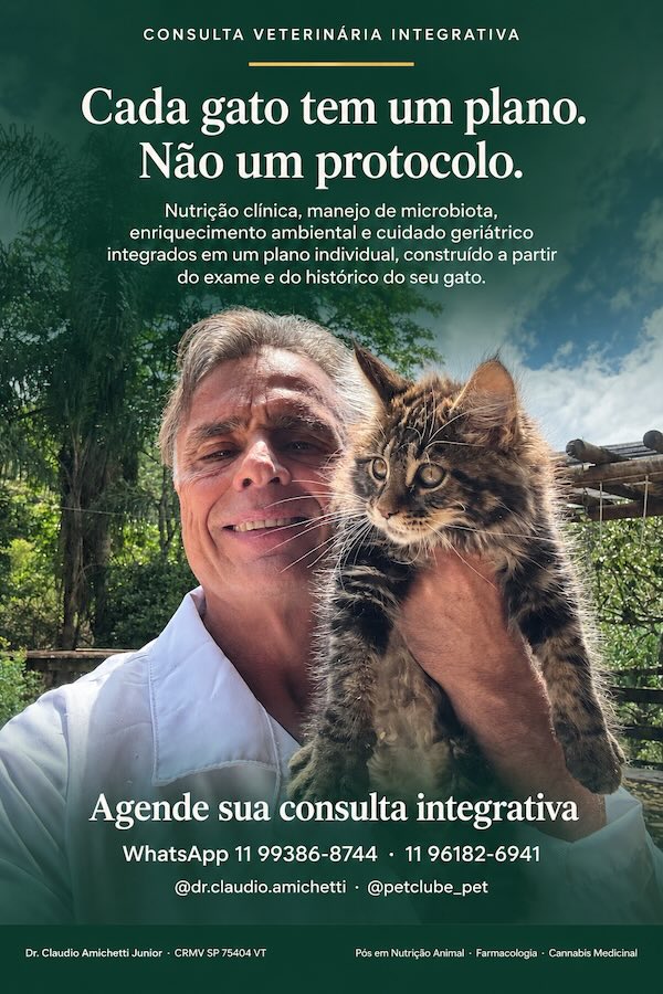 Os Quatro Pilares da Longevidade Felina: Nutrição Espécie-Específica, Enriquecimento Ambiental, Atividade Física e Vínculo Humano-Animal — Uma Revisão Narrativa