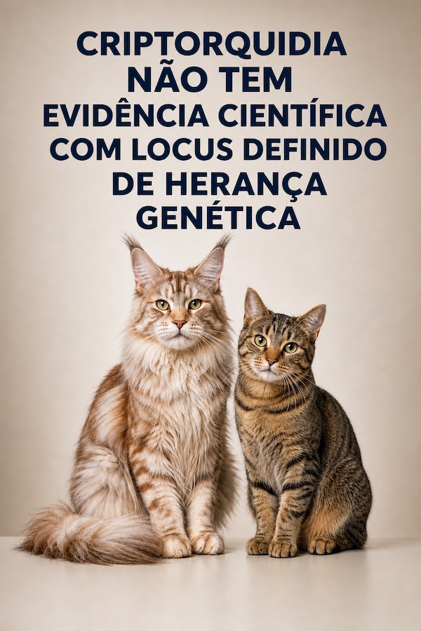 CRIPTORQUIDIA EM GATOS DOMÉSTICOS (Felis catus): REVISÃO CRÍTICA DA EVIDÊNCIA SOBRE A ETIOLOGIA GENÉTICA E HEREDITÁRIA