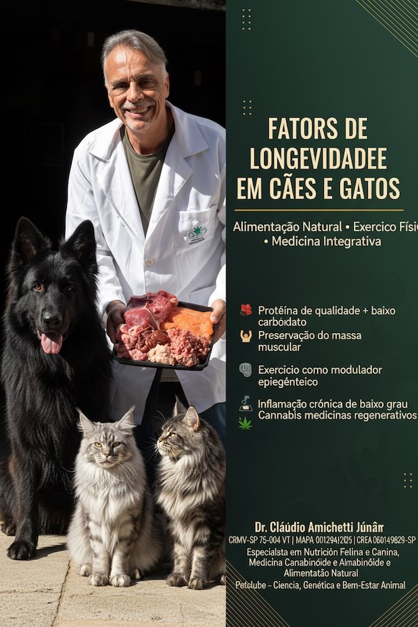 🩺 Para colegas veterinários: estamos prescrevendo longevidade ou apenas tratando doenças?