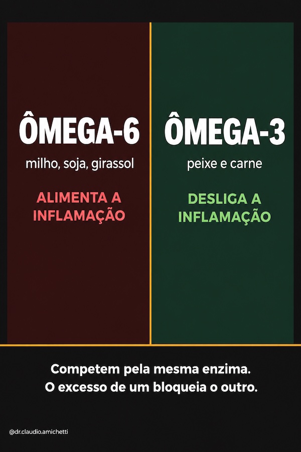 INTESTINO, CARBOIDRATOS DA RAÇÃO COMERCIAL E ÓLEOS DE CEREAIS: UMA REVISÃO NARRATIVA SOBRE INFLAMAÇÃO DE BAIXO GRAU E DISBIOSE EM CÃES E GATOS