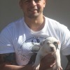 BULLYS Amichetti possuem massa densa e fuço grosso