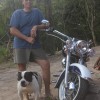 Tabu Pocket bully