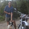 Tabu Pocket bully