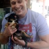 Chihuahua Pocket 