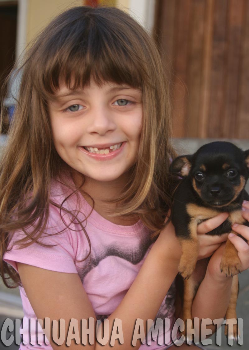  Curso Parceiros da Natureza, você viverá uma experiência única de Banho de Floresta (Shinrin-Yoku) e conexão profunda com cães e gatos! 
