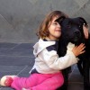 staffordshirebullterrierpuppies