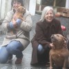 staffordshire Bull Terrier Amichetti
