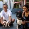 staffordshirebullterrierpuppies