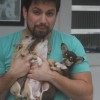 Chihuahua Mini Cão no Brasil exclusividade Premiado canil Amichetti