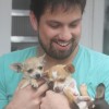 Chihuahua 